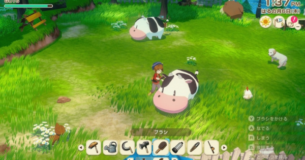 47254.png?t=1756357106