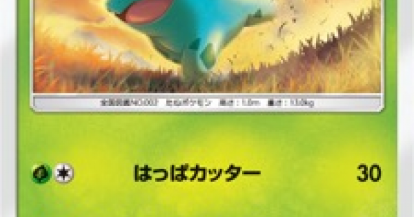 ポケモンカード デッキの組み方とルール ポケカ ゲームウィズ Gamewith ポケモンカード デッキの組み方とルール ポケカ ゲームウィズ Gamewith