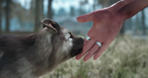 Days Gone 心の癒し いい子だ の攻略チャート デイズゴーン ゲームウィズ