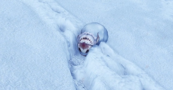 Mhwアイスボーン ユキダマコガネの居場所と捕まえ方 モンハンワールド ゲームウィズ