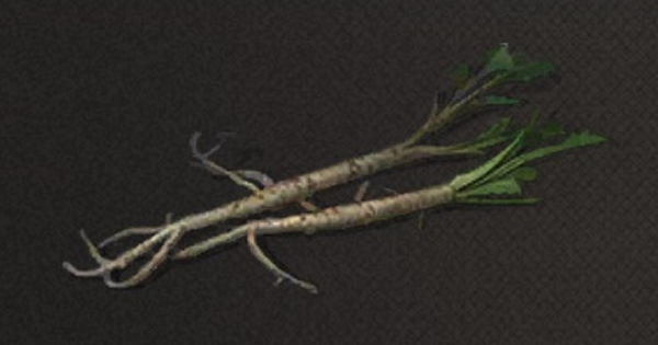 ライフアフター 植物の根茎の入手方法 Lifeafter ゲームウィズ Gamewith ライフアフター 植物の根茎の入手方法 Lifeafter ゲームウィズ Gamewith