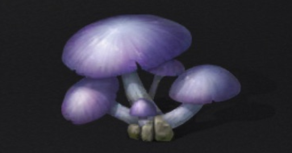 ライフアフター 洞窟キノコの入手方法と使い道 Lifeafter ゲームウィズ