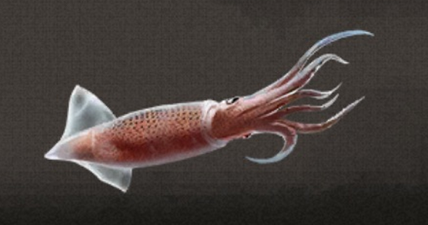 ライフアフター イカの入手方法 詳細情報 Lifeafter ゲームウィズ