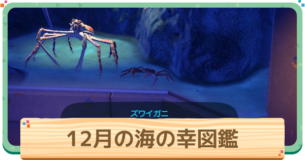 あつ森 12月の海の幸一覧 値段と出現時間 場所 あつまれどうぶつの森 ゲームウィズ Gamewith あつ森 12月の海の幸一覧 値段と出現時間 場所 あつまれどうぶつの森 ゲームウィズ Gamewith