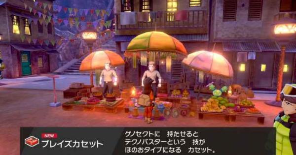 ポケモン剣盾】ブレイズカセットの入手方法と効果【ポケモンソード