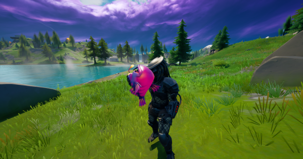 フォートナイト プレデターでサーマルビジョンを使用した状態でダメージを与える Fortnite ゲームウィズ