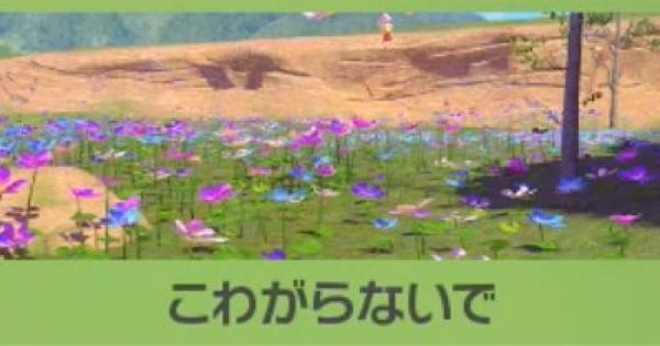 ポケモンスナップ こわがらないでの攻略 キュワワーのリクエスト ポケスナswitch ゲームウィズ