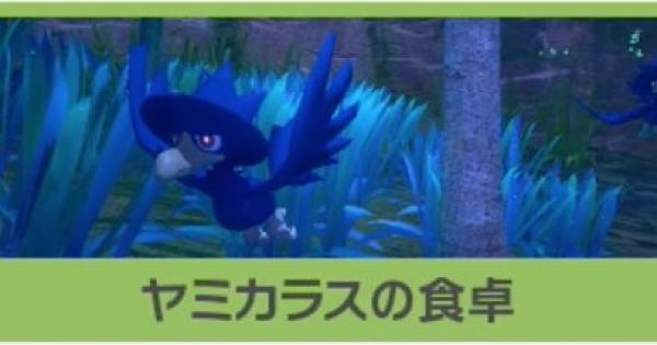 愛用 ヤミカラス様専用ページ コスプレ Fatimid Org