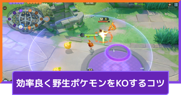 ポケモンユナイト 効率良く野生ポケモンをkoするコツ Unite ゲームウィズ