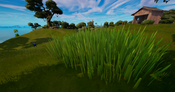 フォートナイト 10秒間高い茂みで隠れる Fortnite ゲームウィズ