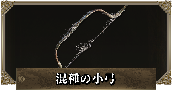 小弓引