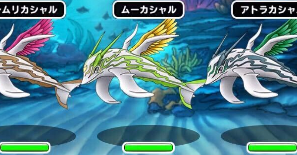 カシャルに挑戦 全ミッション攻略パーティを掲載！