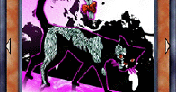 遊戯王デュエルリンクス 尾も白い黒猫の評価と入手方法 ゲームウィズ Gamewith