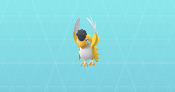 【ポケモンGO】イキリンコ(イエローフェザー)のおすすめ技と最大CP・弱点