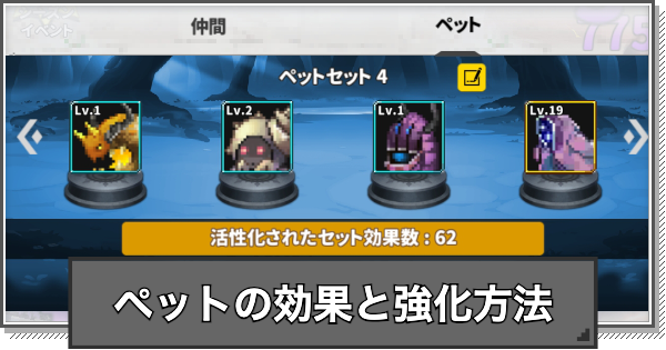 ペットの強化方法とセット効果