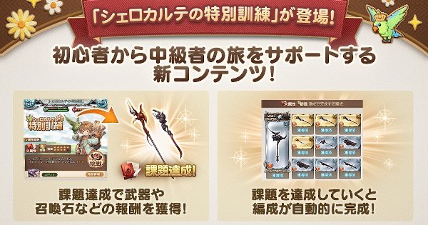 シェロカルテの特別訓練