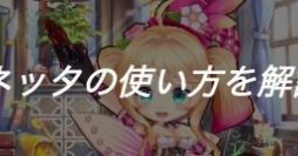 【白猫】ルネッタの使い方と立ち回りを解説！