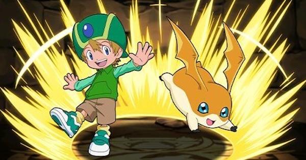 パズドラ】高石タケル&パタモンの評価！アシストと潜在覚醒おすすめ
