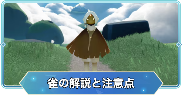 【Sky】雀とは？プレイヤーとの交流時の注意点も解説！【Sky 星を紡ぐ子どもたち】