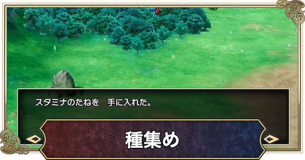 【ドラクエ2リメイク】種集めの効率的なやり方とおすすめ場所【ドラゴンクエスト2】