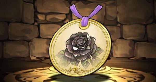 パズドラ】黒薔薇の標本の評価 - ゲームウィズ