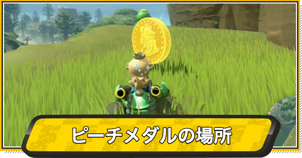 【マリオカートワールド】ピーチメダルの場所と行き方【マリカワールド】