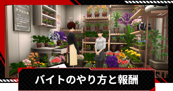 【ペルソナ5X】バイトのやり方と報酬【P5X】