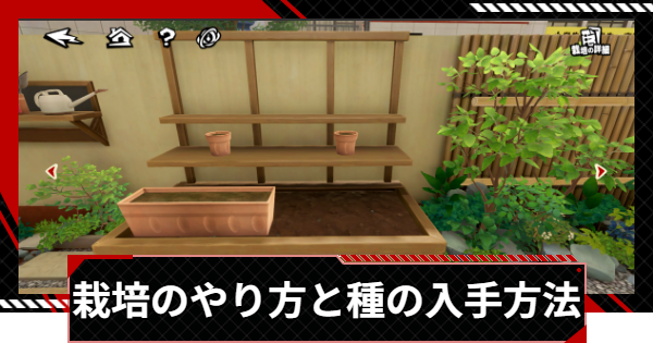栽培のやり方と種の入手方法