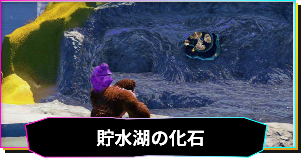 【ドンキーコングバナンザ】貯水湖の化石一覧