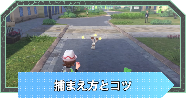 【ポケモンZA】捕まえ方と捕獲のコツ【ポケモンレジェンズZA】
