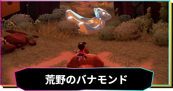 【ドンキーコングバナンザ】荒野のバナモンド一覧