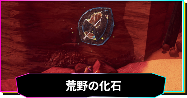 【ドンキーコングバナンザ】荒野の化石一覧