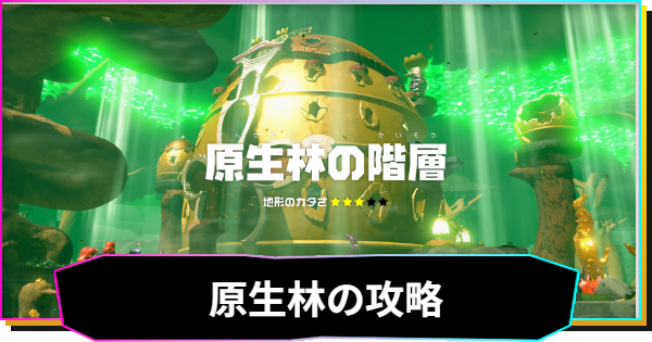 【ドンキーコングバナンザ】原生林の階層の攻略と収集要素
