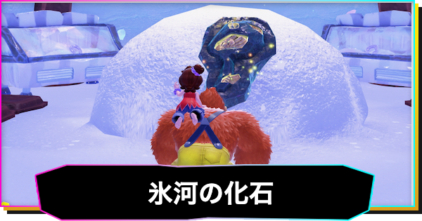 【ドンキーコングバナンザ】氷河の階層の化石一覧