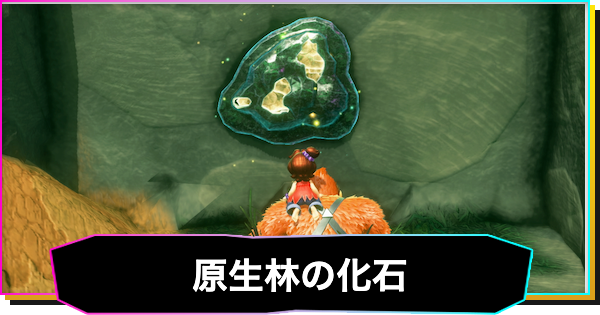 【ドンキーコングバナンザ】原生林の階層の化石一覧