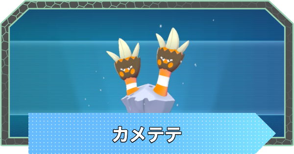 【ポケモンZA】カメテテの進化と入手方法・おすすめ性格【ポケモンレジェンズZA】