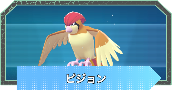 【ポケモンZA】ピジョンの進化と入手方法・おすすめ性格【ポケモンレジェンズZA】