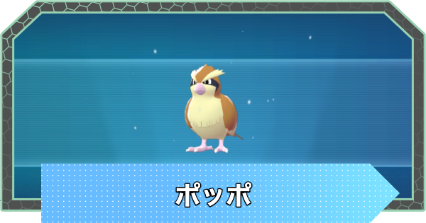 【ポケモンZA】ポッポの進化と入手方法・おすすめ性格【ポケモンレジェンズZA】
