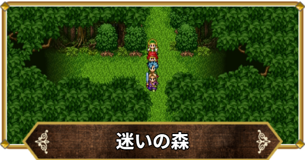 【ドラクエ11】迷いの森の行き方と宝箱・アイテム【ドラクエ11S】