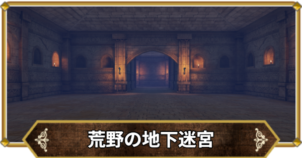 【ドラクエ11】荒野の地下迷宮の行き方と宝箱・アイテム【ドラクエ11S】