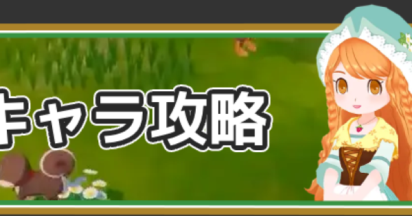 牧場物語 風のグランドバザール攻略