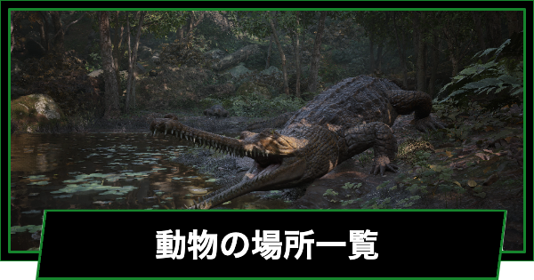 動物の場所一覧