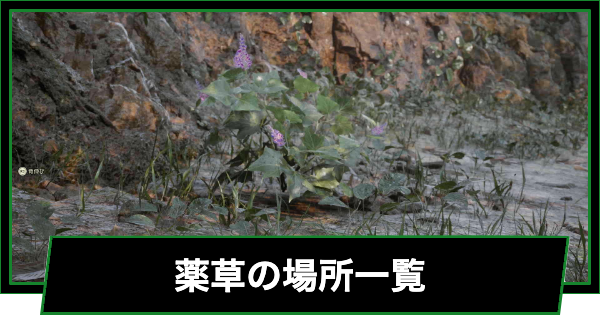 薬草の場所一覧
