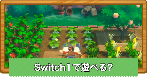 【牧場物語 風のグランドバザール】Switch1で遊べる?【グラバザ】