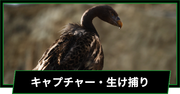 【メタルギアデルタ】キャプチャーと生け捕りのやり方【メタルギアソリッド3 リメイク】