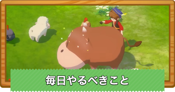 【牧場物語 風のグランドバザール】毎日やるべきこと【グラバザ】