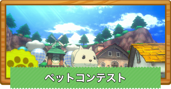 【牧場物語 風のグランドバザール】ペットコンテストで優勝するコツと開催日【グラバザ】