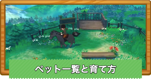 【牧場物語 風のグランドバザール】ペット一覧と育て方【グラバザ】
