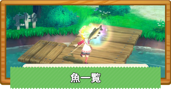 【牧場物語 風のグランドバザール】魚(釣り)一覧【グラバザ】