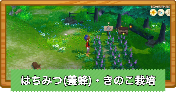 【牧場物語 風のグランドバザール】はちみつ(養蜂)・きのこ栽培のやり方と一覧【グラバザ】